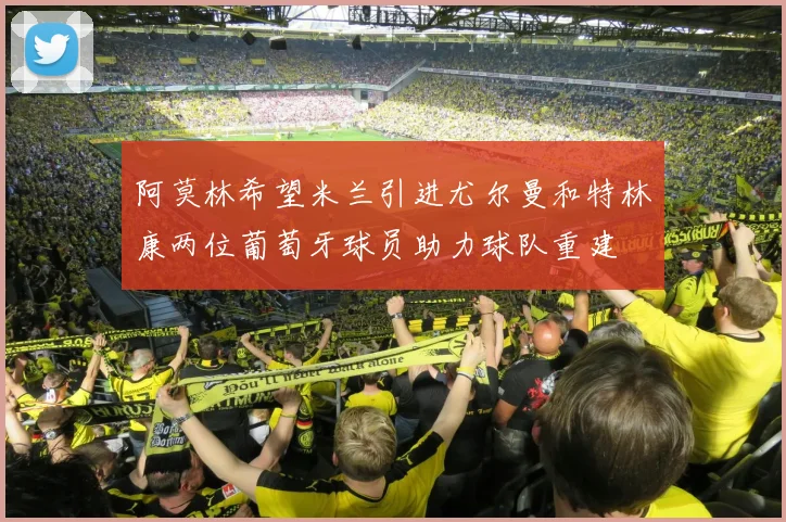 阿莫林希望米兰引进尤尔曼和特林康两位葡萄牙球员助力球队重建